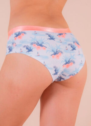 10329 Bóxer Hikari - Jacky Form